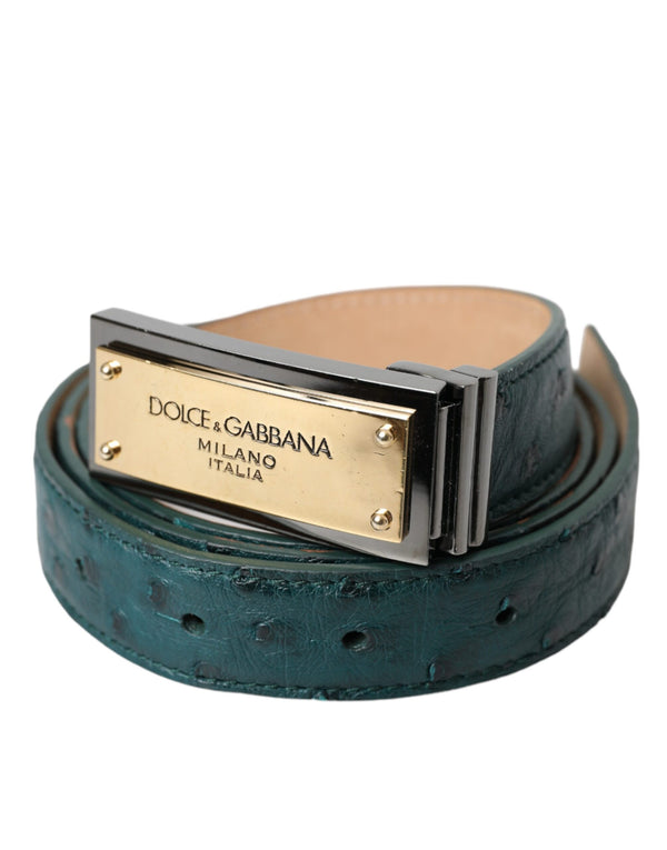 Dolce &amp; Gabbana Cinturón con hebilla grabada con logo dorado de cuero verde